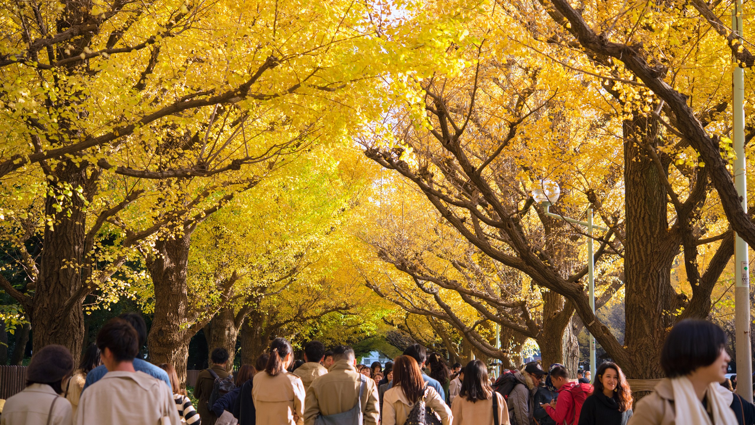 Japan is one of the destinations seeing an uptick in visitors during shoulder seasons.